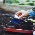 Unlocking Garden Success: The Definitive Guide to Soil Selection